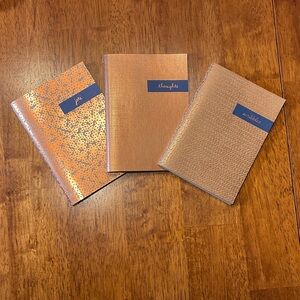 Hallmark Gold and Blue Notebooks Set